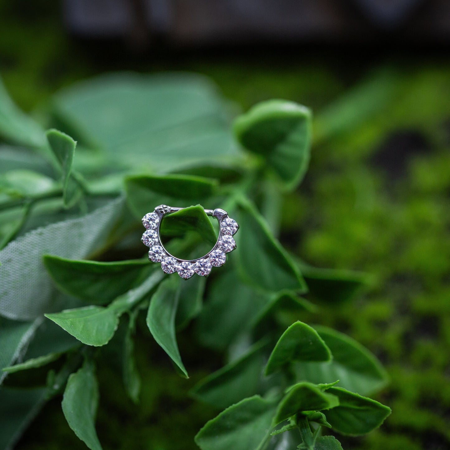 Titanium 14g 5/16" Odyssey Hinge Ring w/ CZs