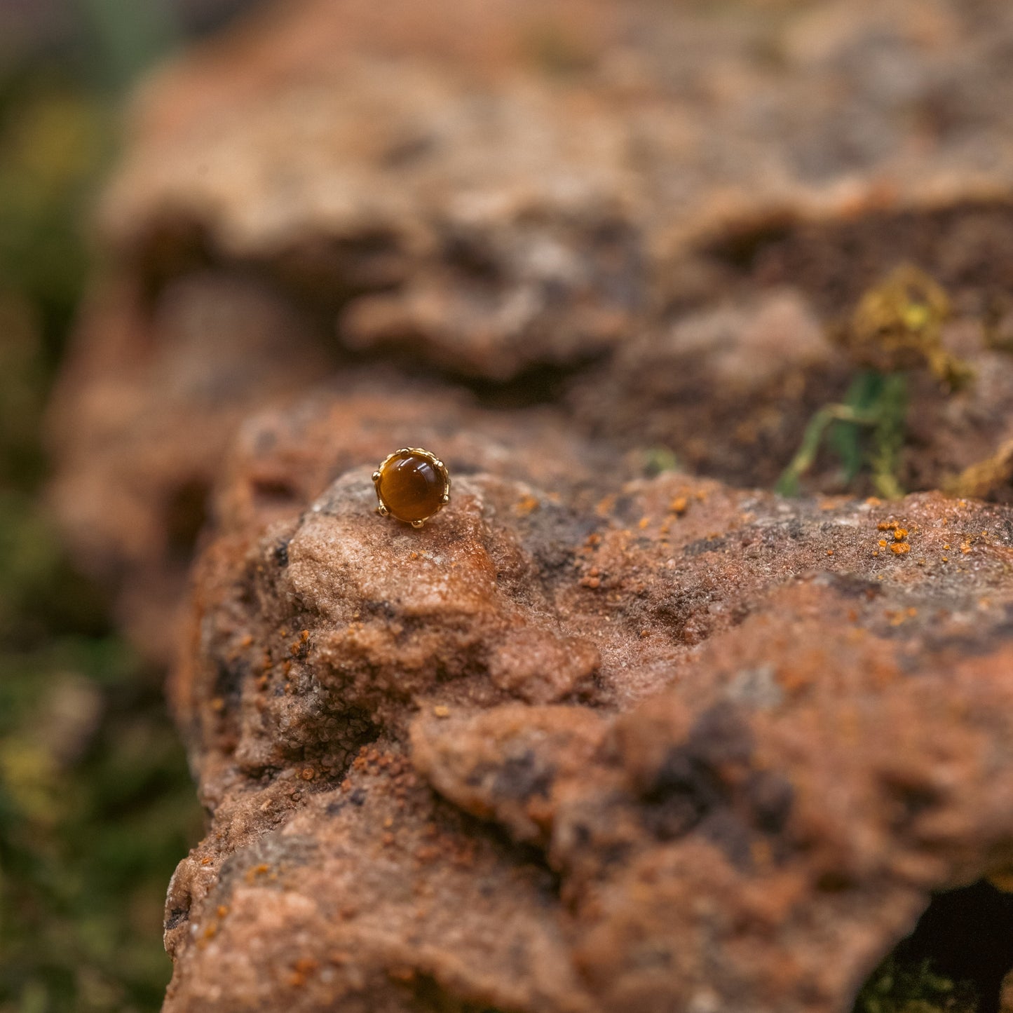 18g Threadless Queen w/ Tiger's Eye