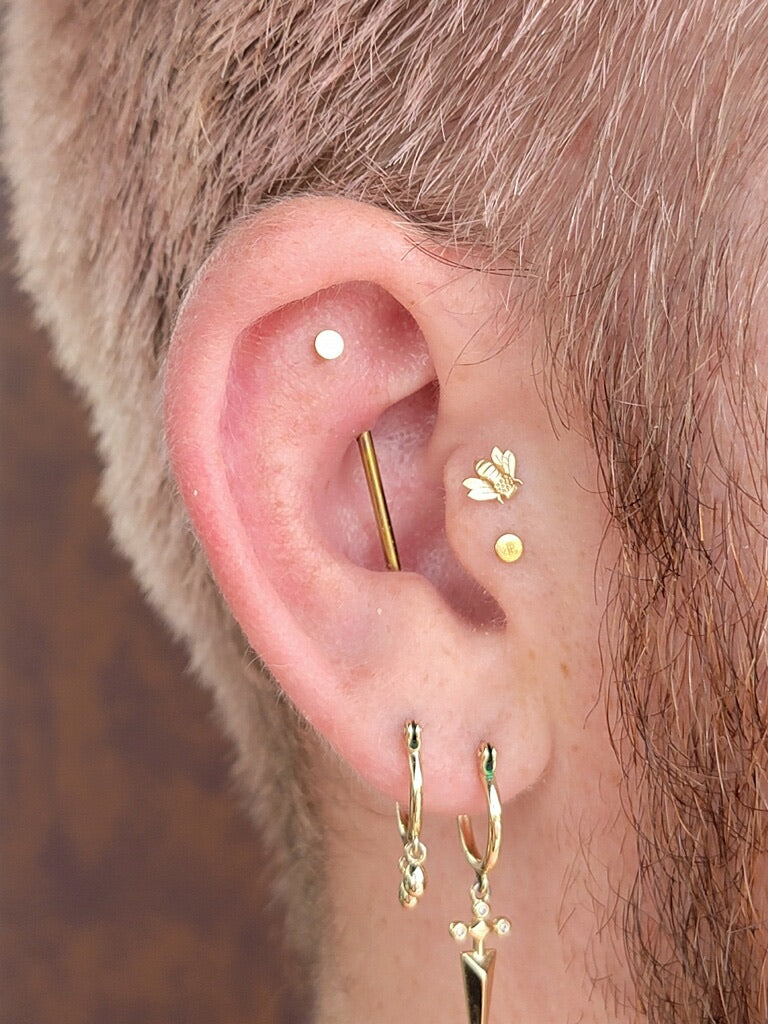 Classic High Shine Disk Threadless End