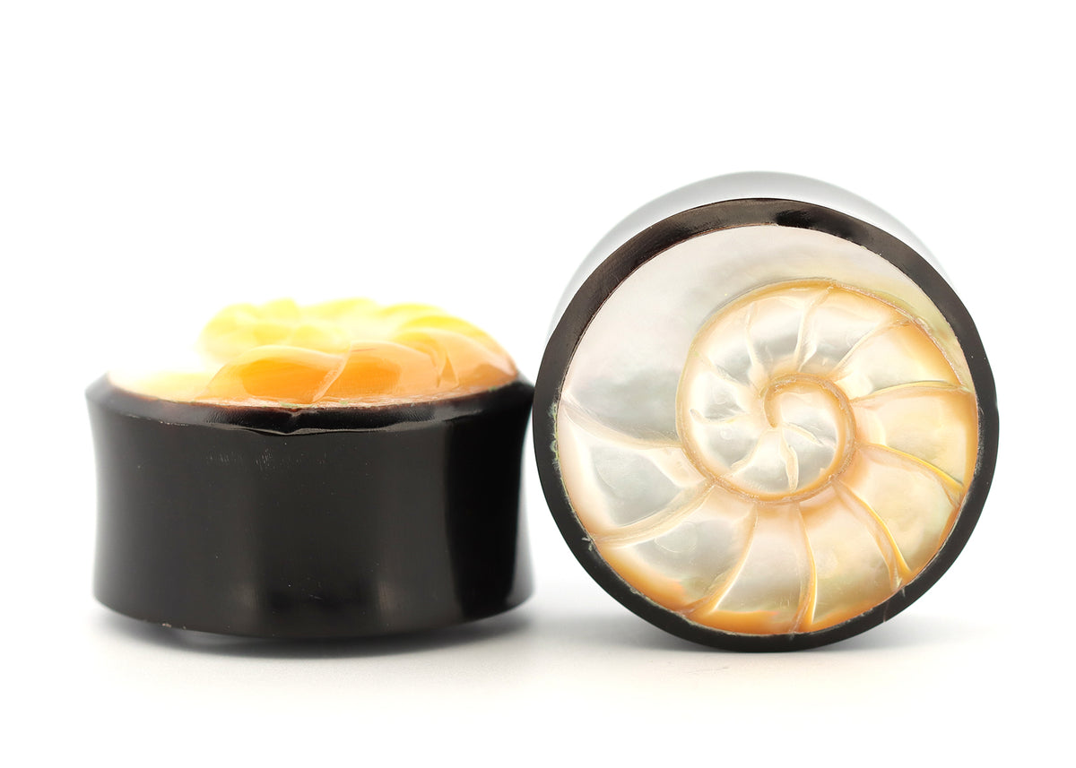 Double Up Shell 1 + 1/4