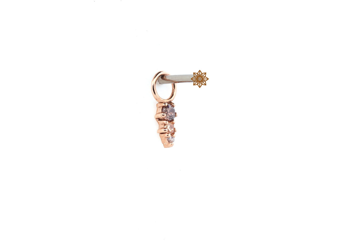 14K Fey Brown Ombre Charm