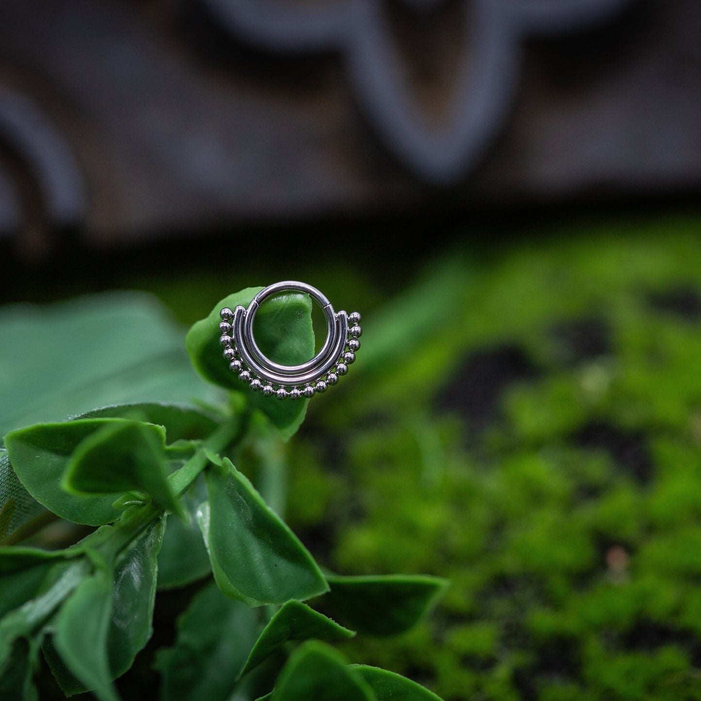 16g Titanium Beaded Hinge Ring
