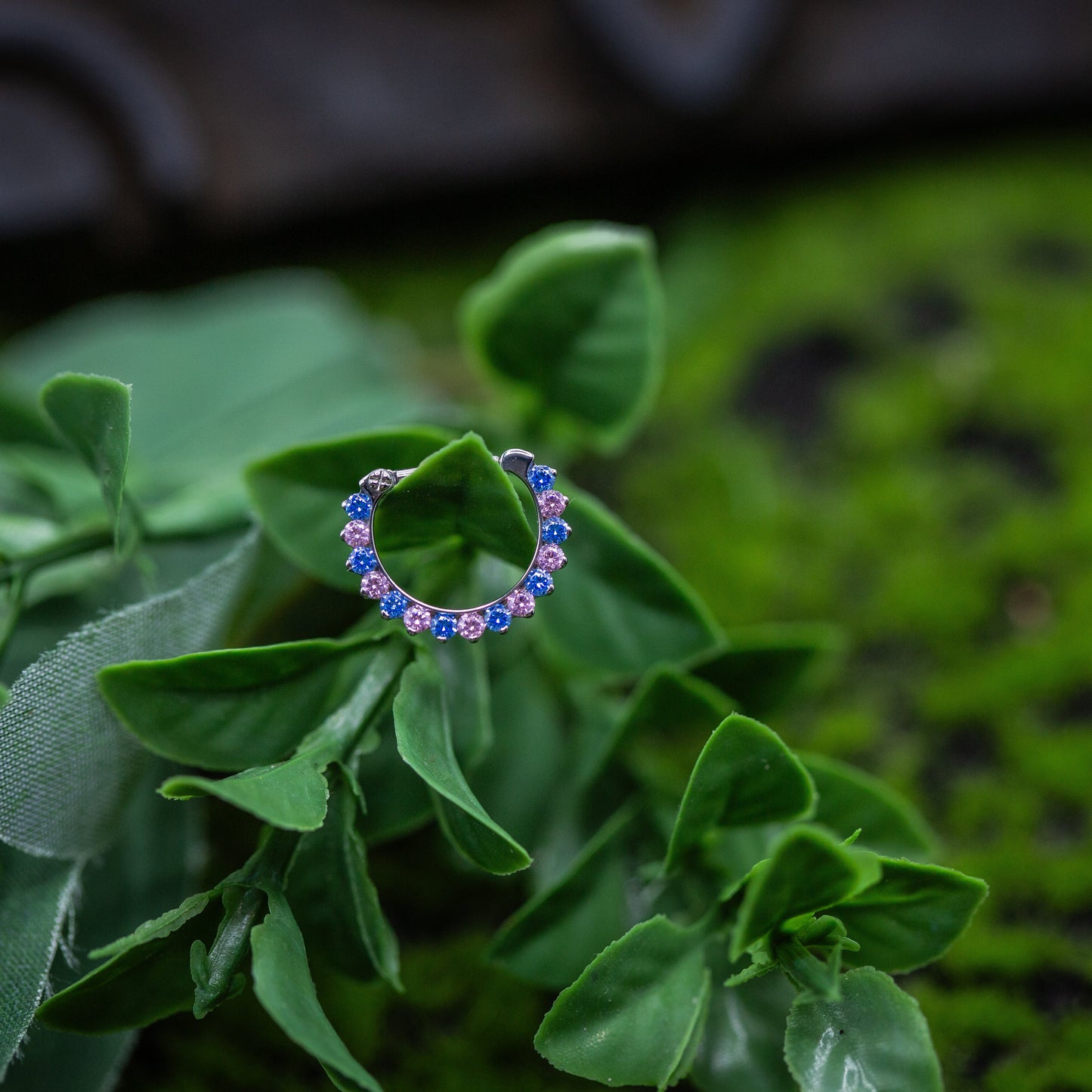 Titanium 16g 5/16" Odyssey Hinge Ring w/ assorted CZs