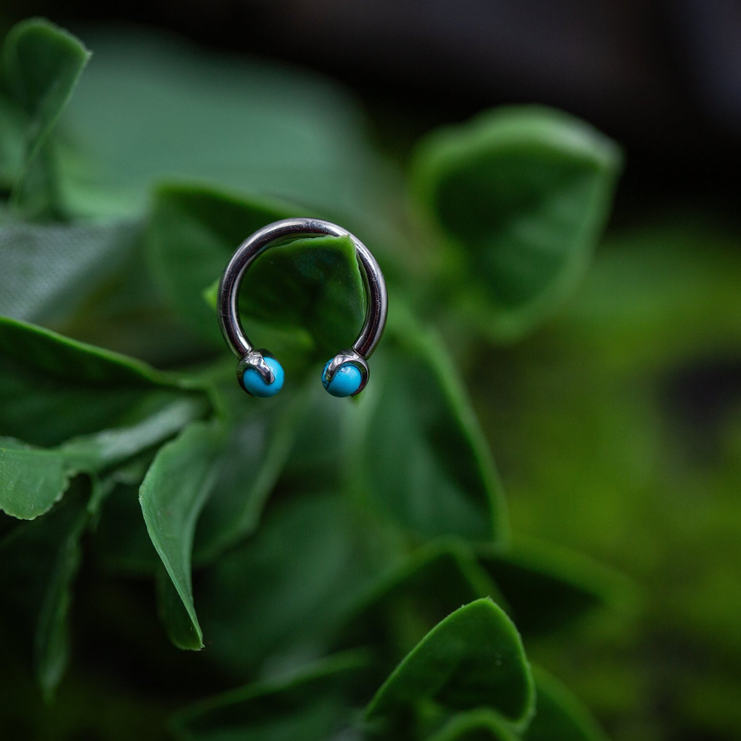 14g Titanium Circular Barbell Turquoise end Septum Ring