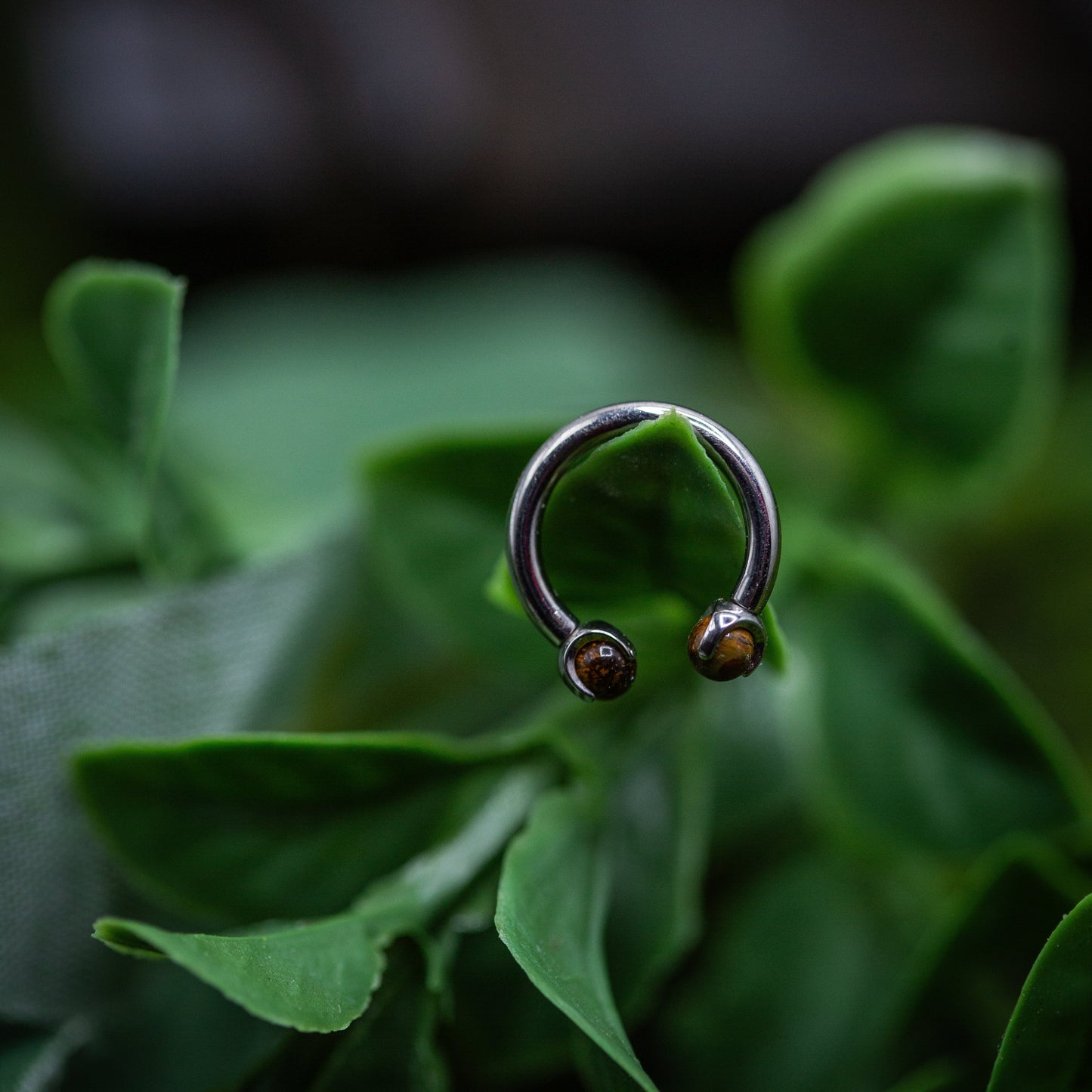 14g Titanium Circular Barbell Tiger's Eye end Septum Ring