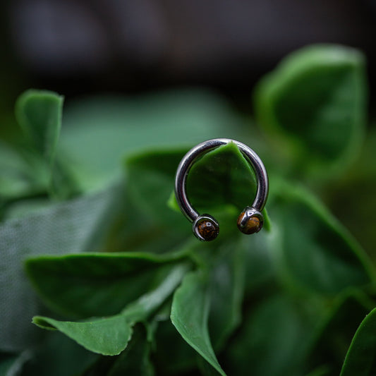 14g Titanium Circular Barbell Tiger's Eye end Septum Ring
