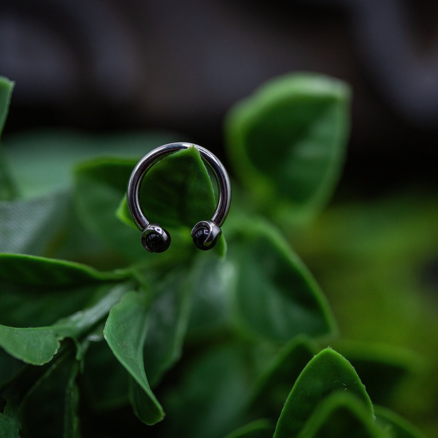 14g Titanium Circular Barbell Black Opal end Septum Ring