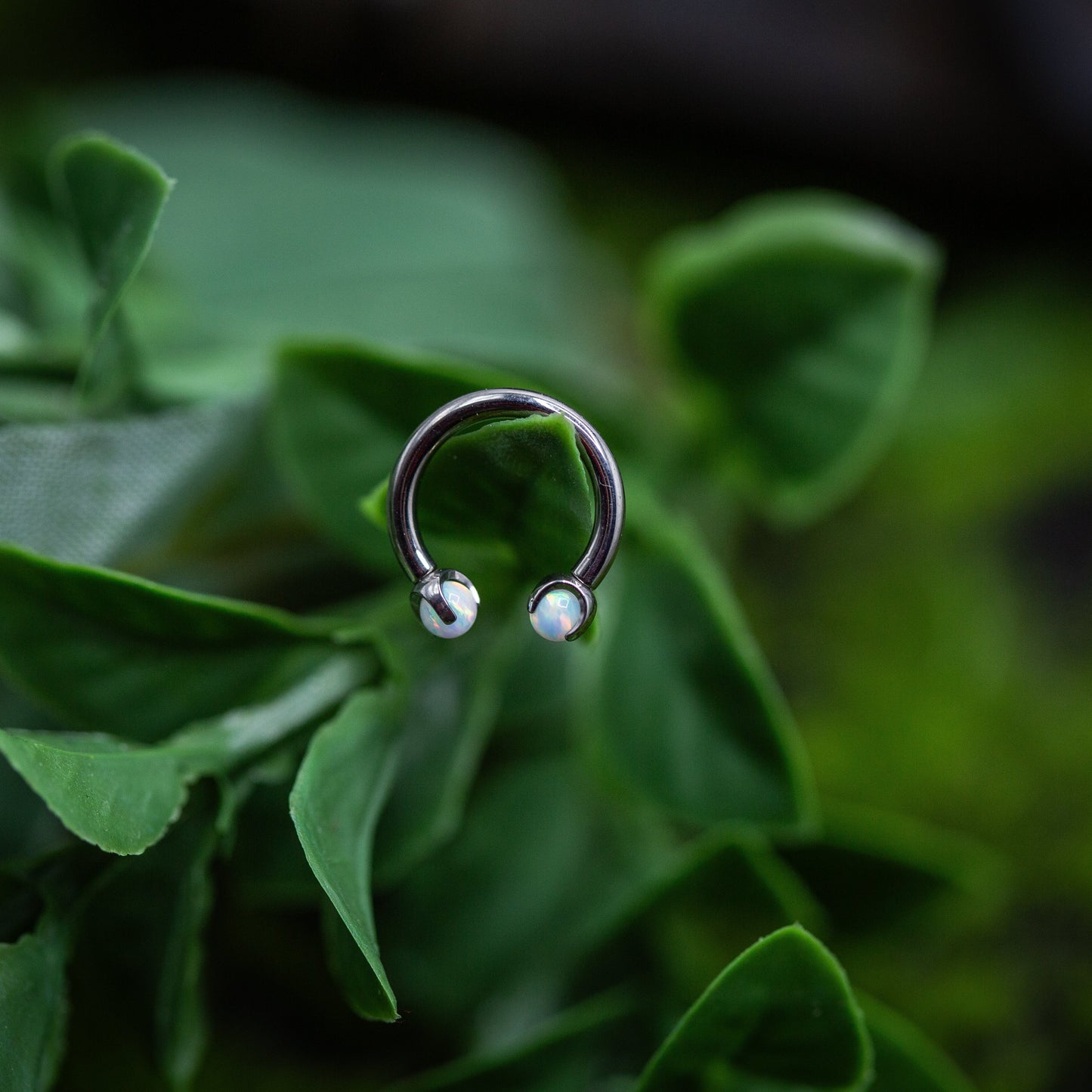 14g Titanium Circular Barbell White Opal end Septum Ring