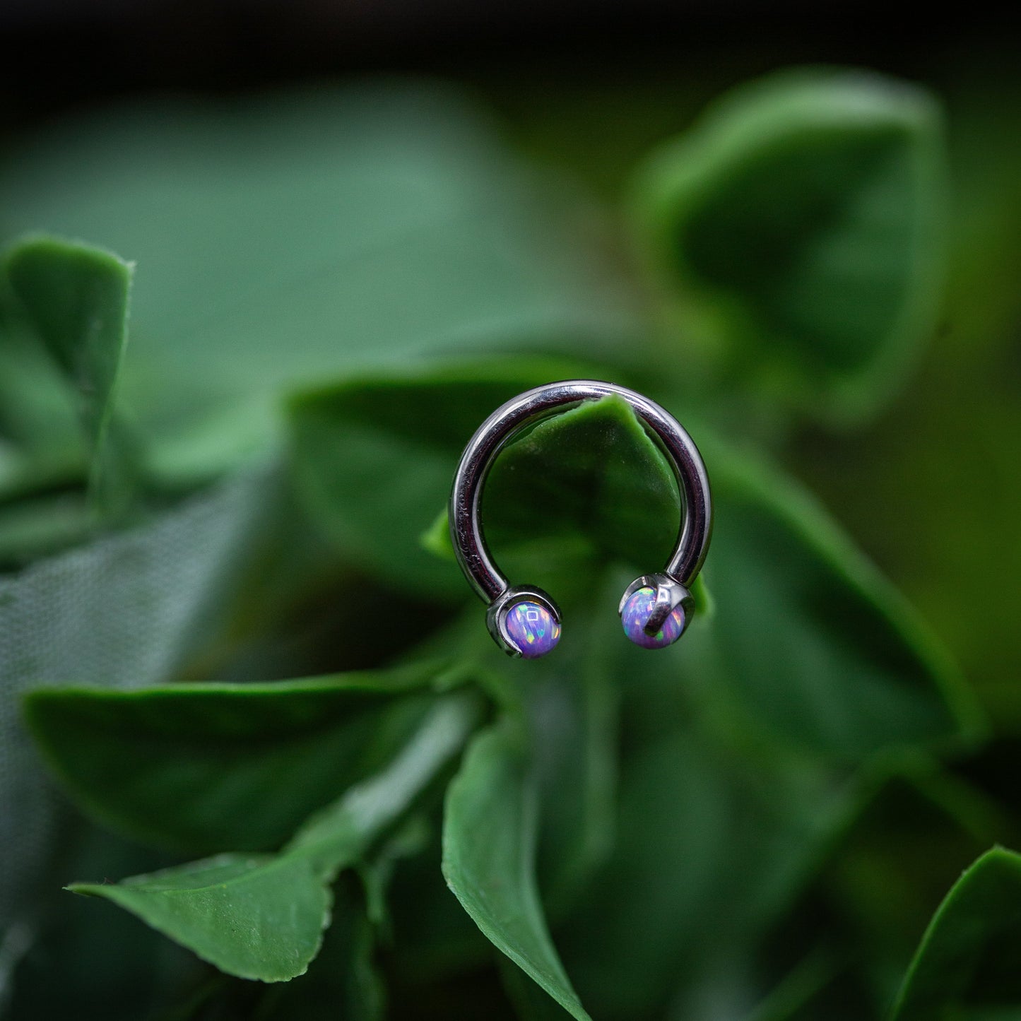 14g Titanium Circular Barbell Lavender Opal end Septum Ring