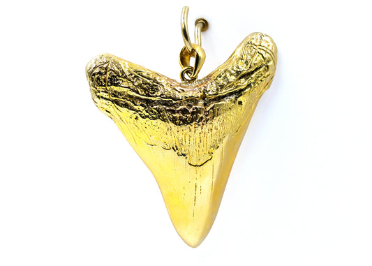 Brass Shark Tooth Pendant